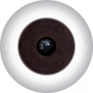 Глаза для кукол,  размер глаза 10 мм, полусфера арт. 60 кн (натуральные)